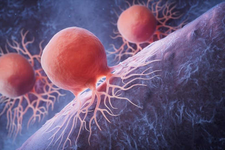 Scientists Flip Cancer Protein to Fight Colorectal Tumors