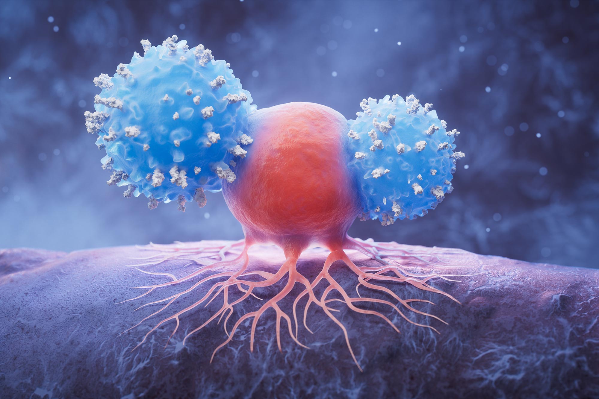 Scientists Find Genetic Switch to Boost Cancer Immunity
