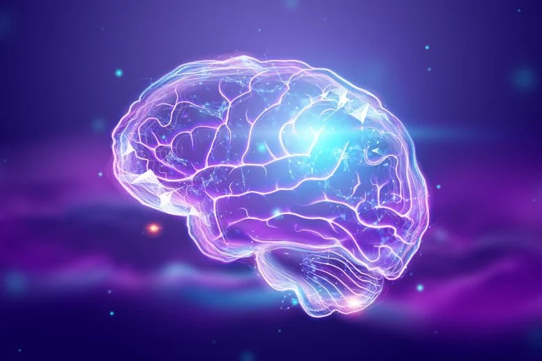 20 Minutes of Exercise Protects Memory After No Sleep