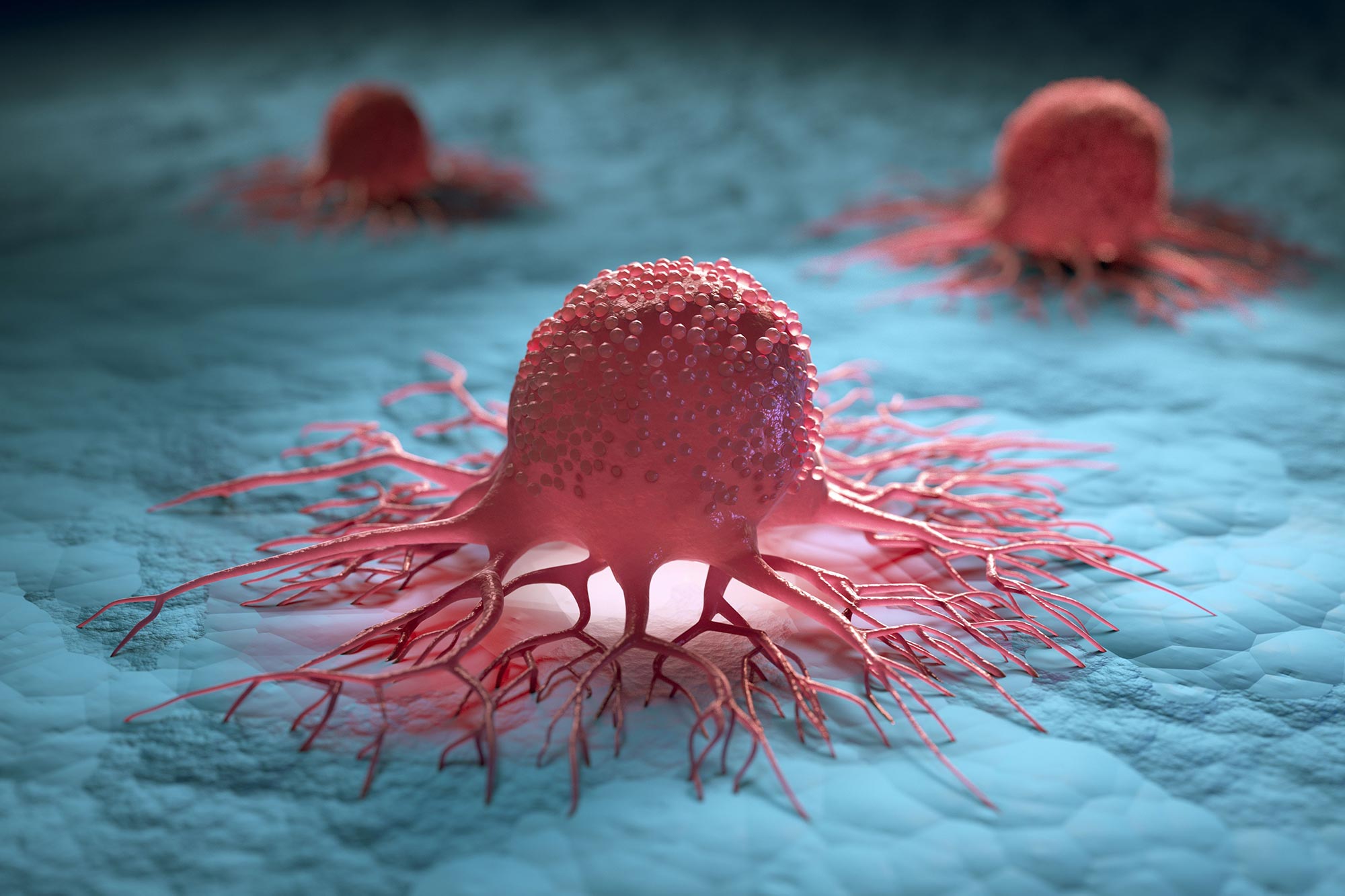Scientists Crack Melanoma's Immortality Code