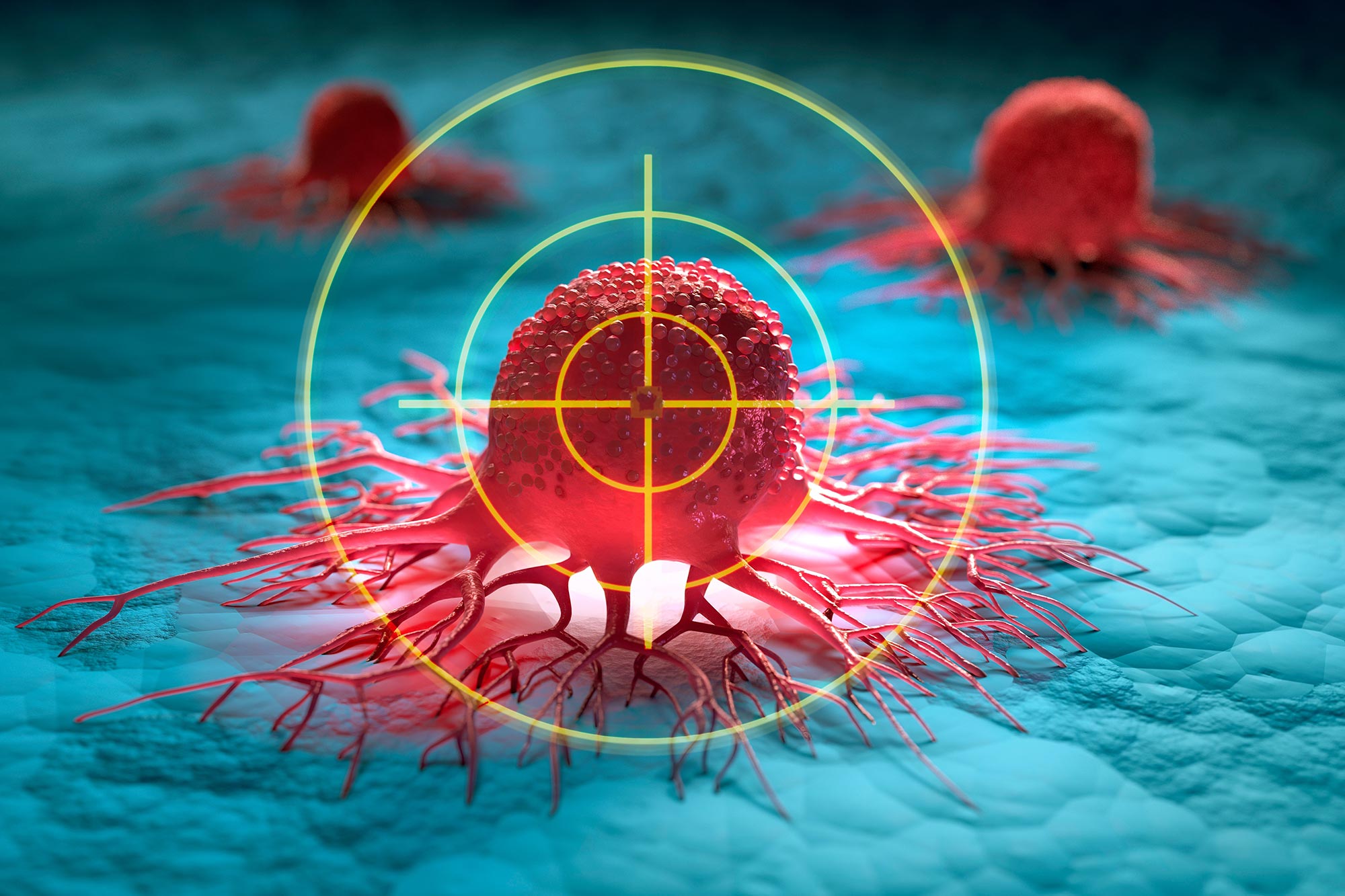 Plant Compound Forces Breast Cancer Cells to Self-Destruct