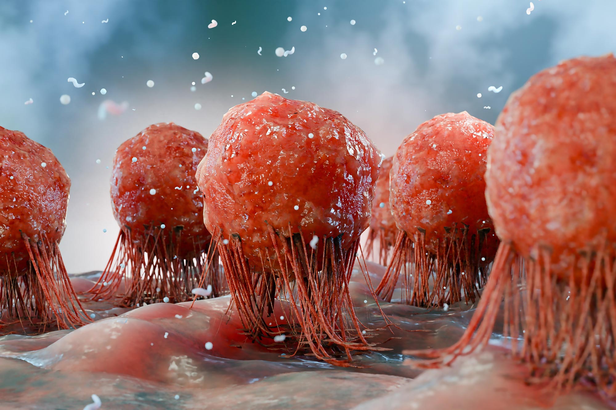 Scientists Find New Way Immune System Kills Cancer Cells
