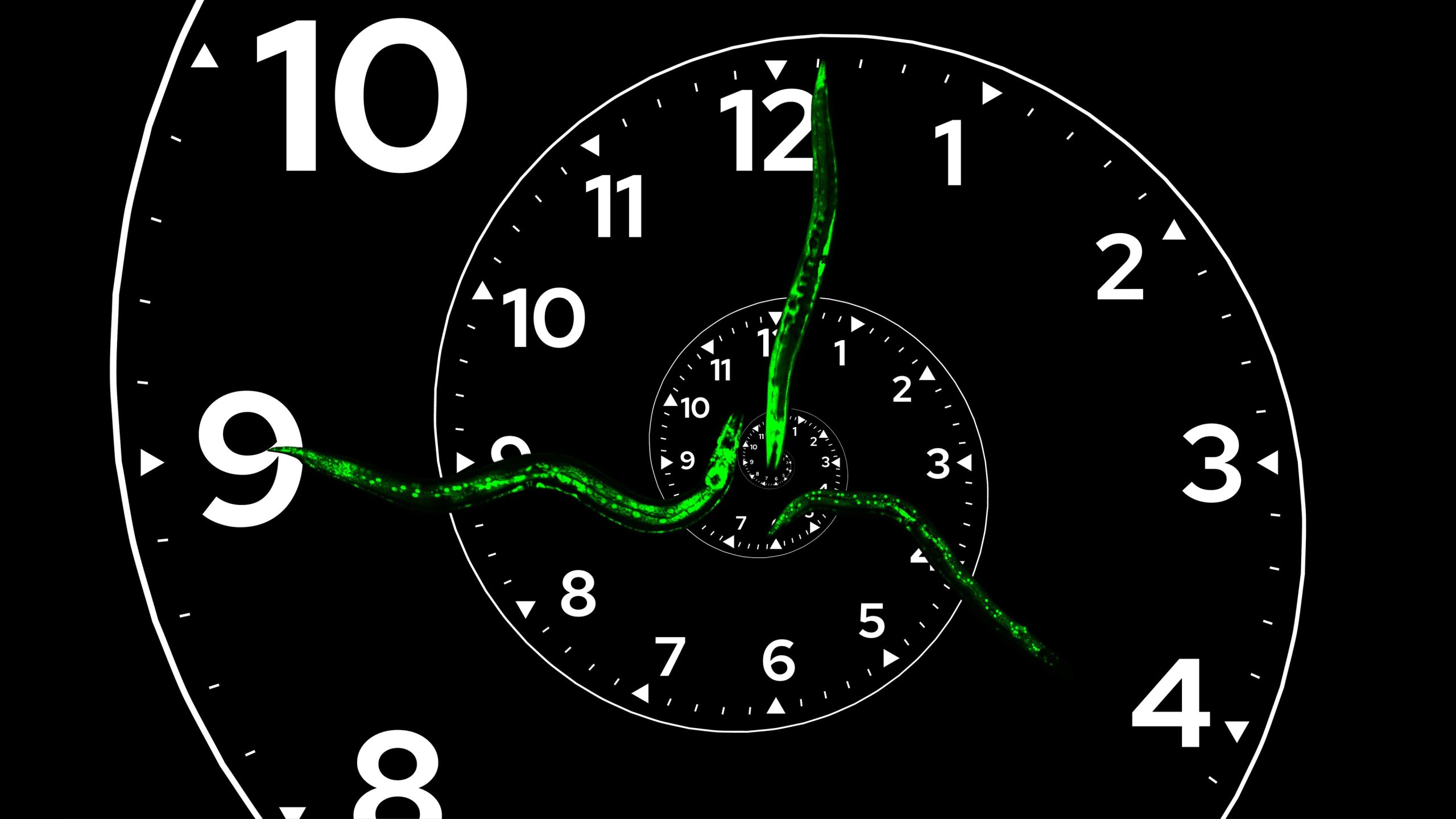 Scientists Find First Biological Clock That Never Repeats