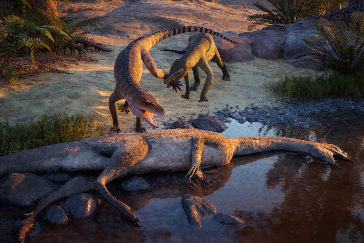 New Crocodile Cousin Found After 210 Million Years