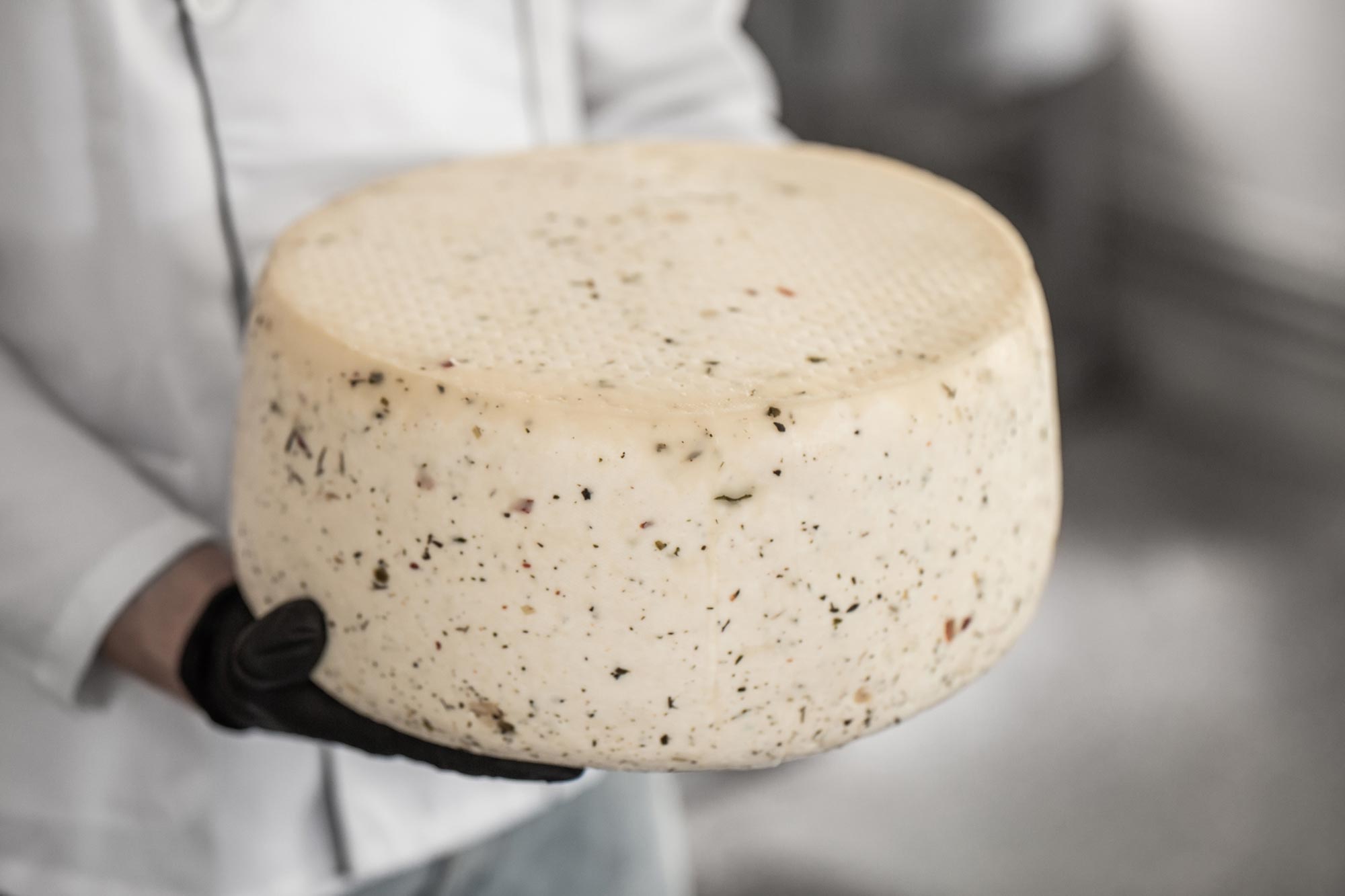 British Cheese Study Reveals Gut-Healthy Bacteria Inside