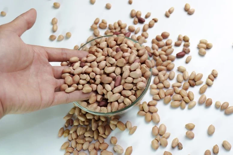 Daily Peanuts Boost Memory in Adults Over 60, Study Finds