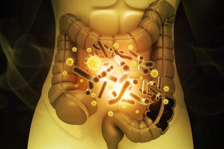 Ancient Gut Bacteria Traveled With Humans for 50,000 Years