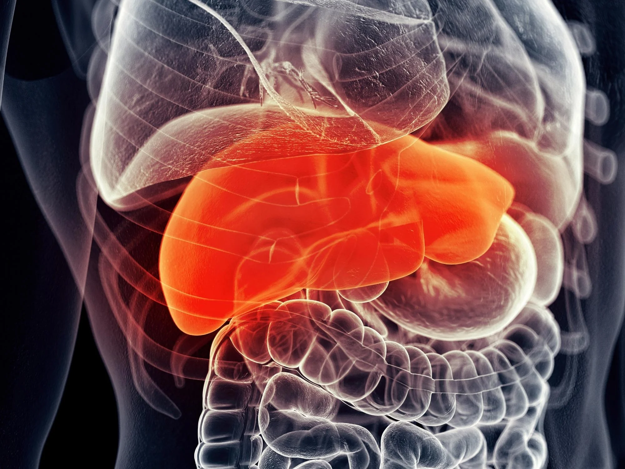 Scientists Discover Why Damaged Livers Can Heal Again