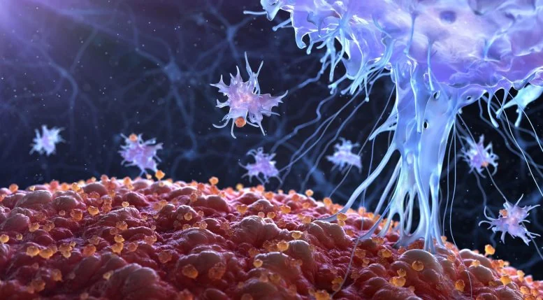 Scientists Find New Target to Treat Autoimmune Diseases