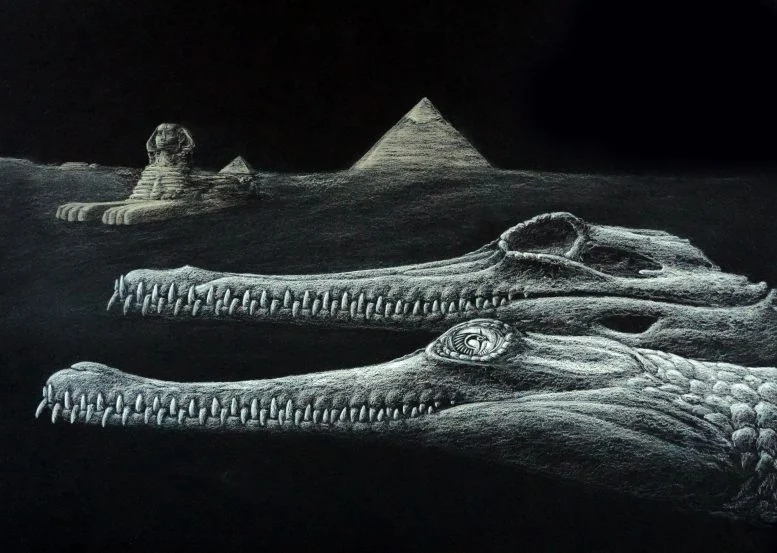 Ancient Egyptian Crocodile Named After Great Sphinx's God