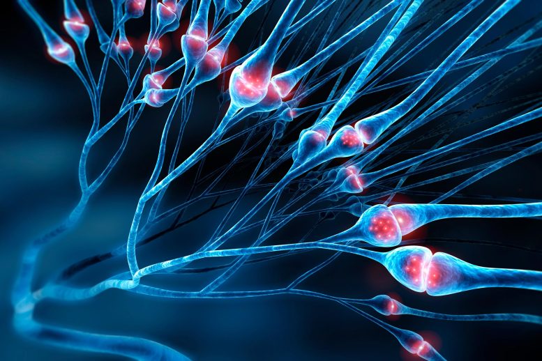 Cancer Drug Cuts Chronic Nerve Pain in Breakthrough Study