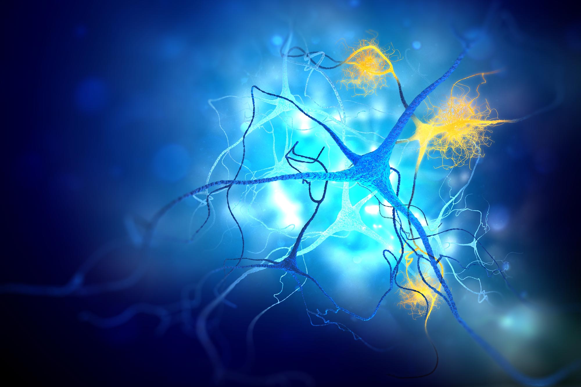 Scientists Create First Tool to Study Hidden Alzheimer's Target