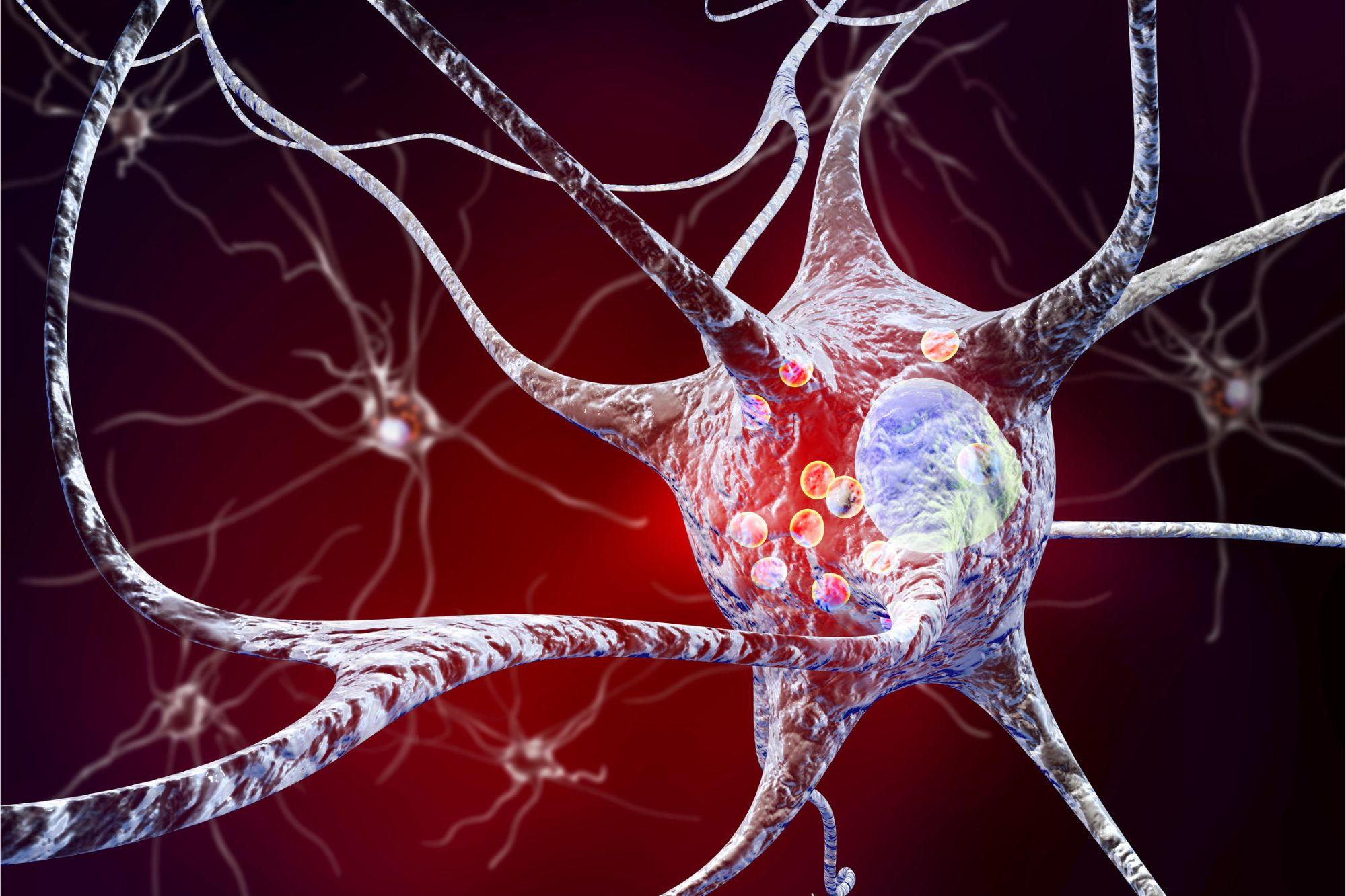 Brazil Scientists Find Peptide That Protects Brain Cells
