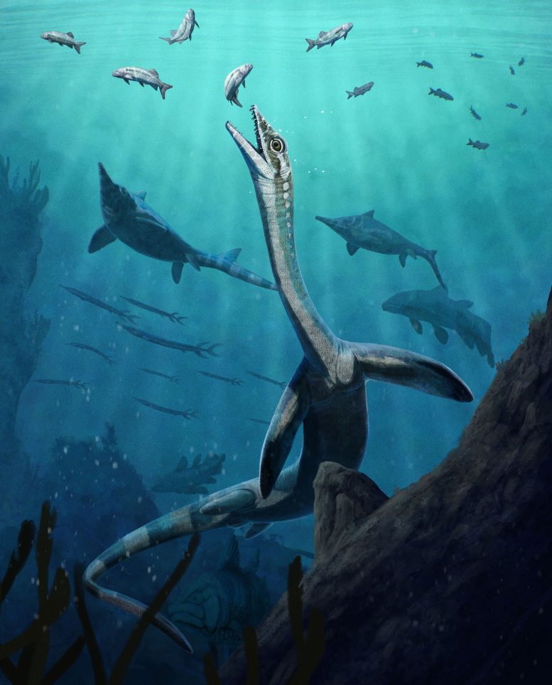 245-Million-Year-Old Reptile Found With Organs Intact