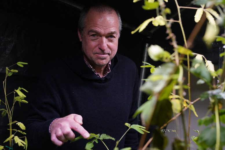 Plants Can Count to Three Without Brains, Study Finds - Image 5