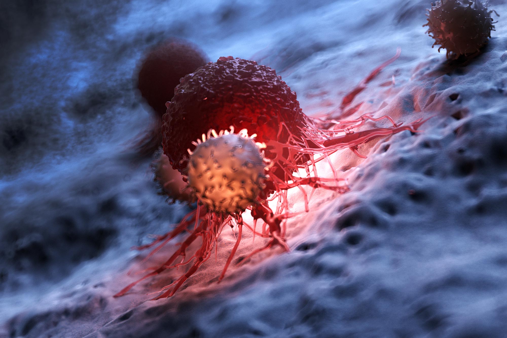 Scientists Find "Off Switch" to Boost Cancer-Fighting Cells