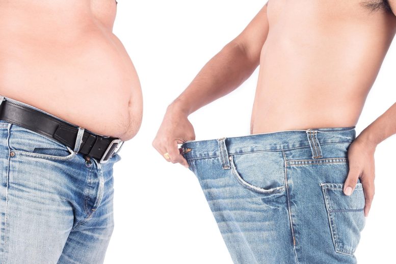 Berkeley Scientists Find Fat-Burning Compound Called TOFA
