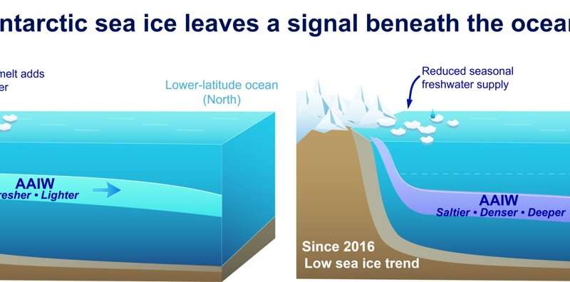 Scientists Track Ocean Shift That Could Slow Climate Change - Image 5