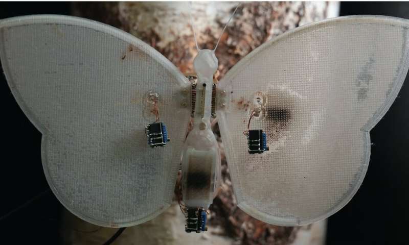 Robot Moth in Estonia Grows Its Own Sensors on Demand - Image 5