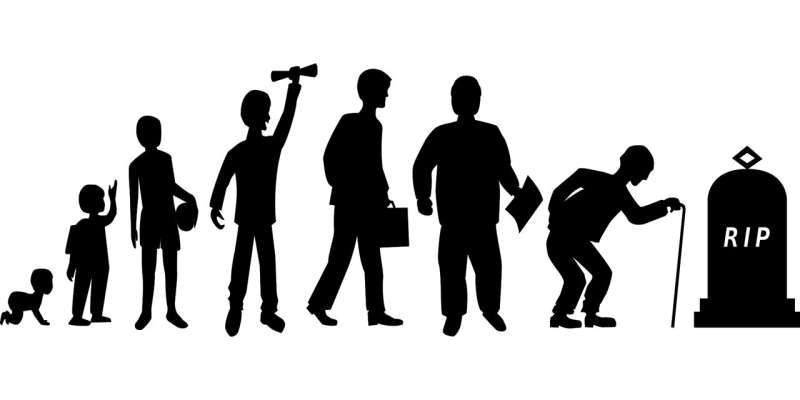 Scientists Map the Biology of Aging to Extend Healthy Years - Image 3