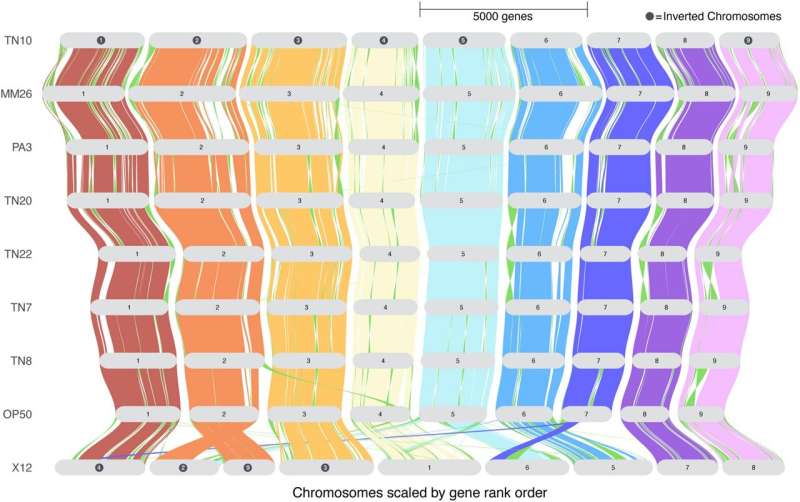 Scientists Create Genetic Map to Save Soybean Harvests - Image 3