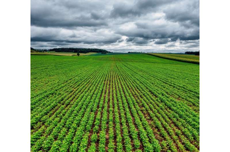 Spanish Researchers Make Farm Fertilizer from CO2 and Soil - Image 3