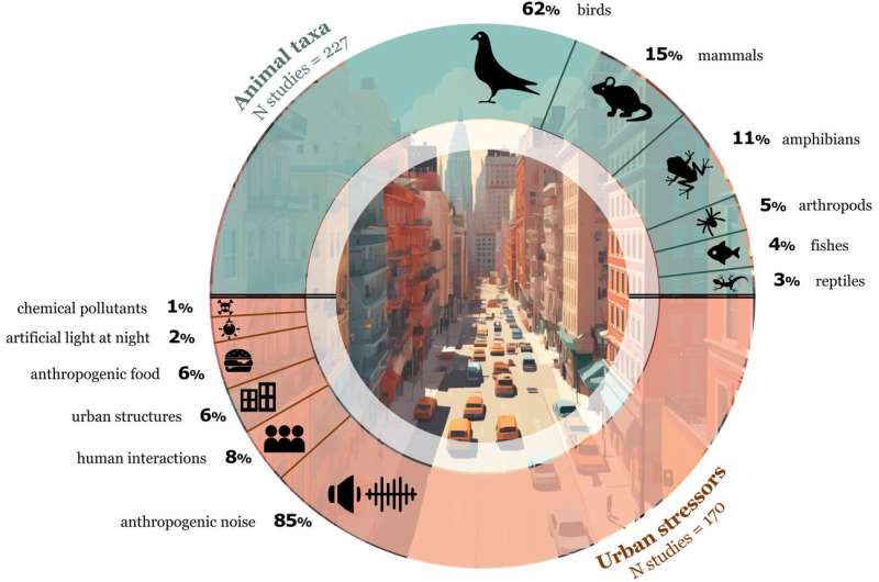 Cities Transform How Urban Animals Connect and Communicate - Image 3
