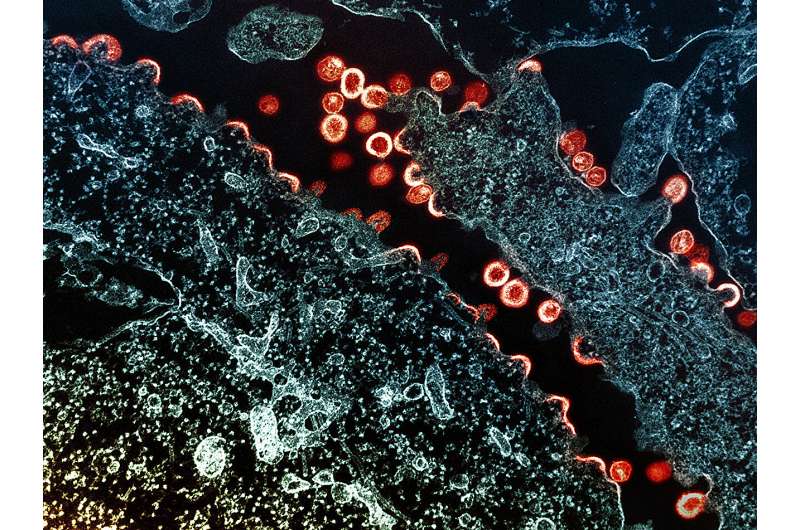Kenya-Uganda Trial Cuts New HIV Cases by 70% - Image 2
