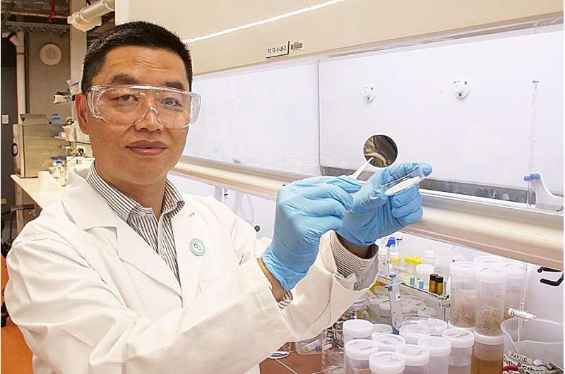 UQ Nano Membrane Boosts Clean Water Speed 44% - Image 2
