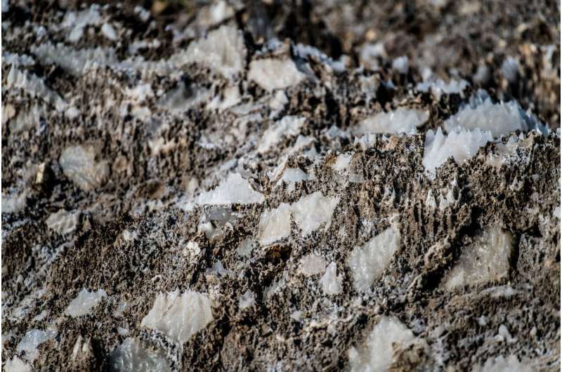 Homeowners Cut Water Pollution With Simple Salt Fix - Image 3