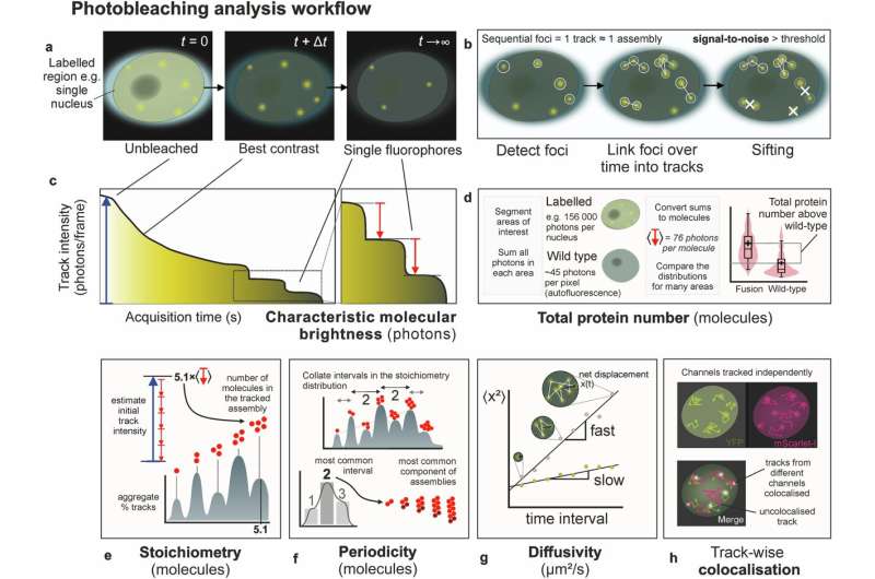 Plants Store 'Winter Memory' in Tiny Molecular Clusters - Image 3