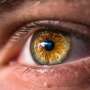 Common Antibiotic Boosts Immune Cells in Surprise Discovery - Image 3