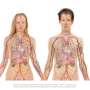 Bladder Cancer Patients Need Half the Chemo, NHS Says - Image 4