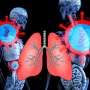 Tiny Worms Help Scientists Fight Chemo's Nerve Damage - Image 5