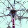 3D-Printed Bandages Help Heal Wounds That Won't Close - Image 3