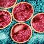 Ancient Viral DNA Key to Detecting Pregnancy Complication - Image 4