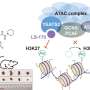 AI Model Helps Scientists Predict ALS Progression Patterns - Image 4