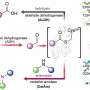 New Catalyst Makes Clean Fertilizer 50% More Efficiently - Image 5