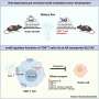 Scientists Map Brain Protein to Help 20+ Memory Diseases - Image 5