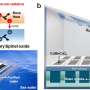 AI Learns to Reason Like Humans Without Extra Training - Image 5