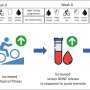 Ancient Viral DNA Key to Detecting Pregnancy Complication - Image 5