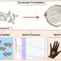 Engineer Creates Algae That Eats Microplastics From Water - Image 4
