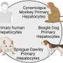 Eco-Friendly Inhalers Work Better for COPD Patients - Image 4