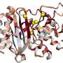 Showing Climate Wins Boosts Action 30%, Stanford Finds - Image 4