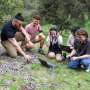 Plants Store 'Winter Memory' in Tiny Molecular Clusters - Image 5