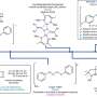 Stale Bread Powers Green Chemistry in Edinburgh Lab - Image 5