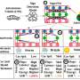 Japanese Scientists Create Wireless Damage-Sensing Packaging - Image 5