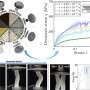 Scientists Achieve Solar Cell Breakthrough Using No Solvents - Image 4