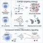 Coffee Compounds Outperform Diabetes Drug in Lab Study - Image 5
