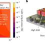 Bee Brains Inspire Chip 100x More Efficient Than Current Tech - Image 4